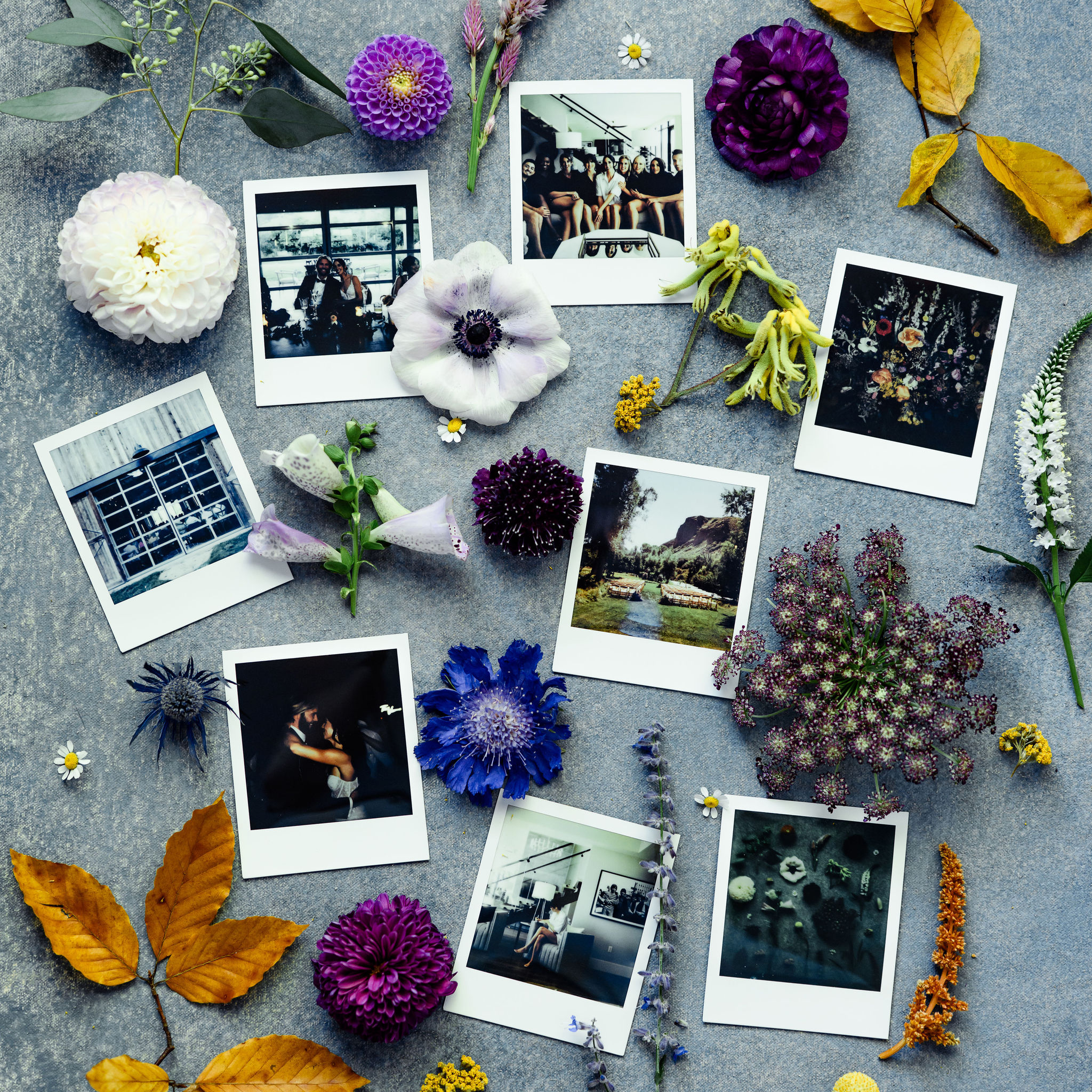 Polaroid photos surrounded by flowers.