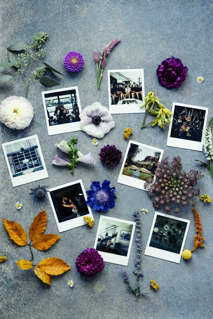 Seven Polaroids arranged with flora and flowers