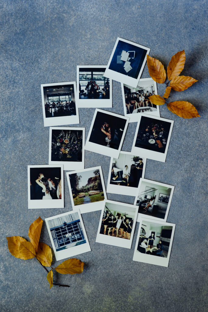 Thirteen Polaroid photos with fall foliage used to frame two corners.