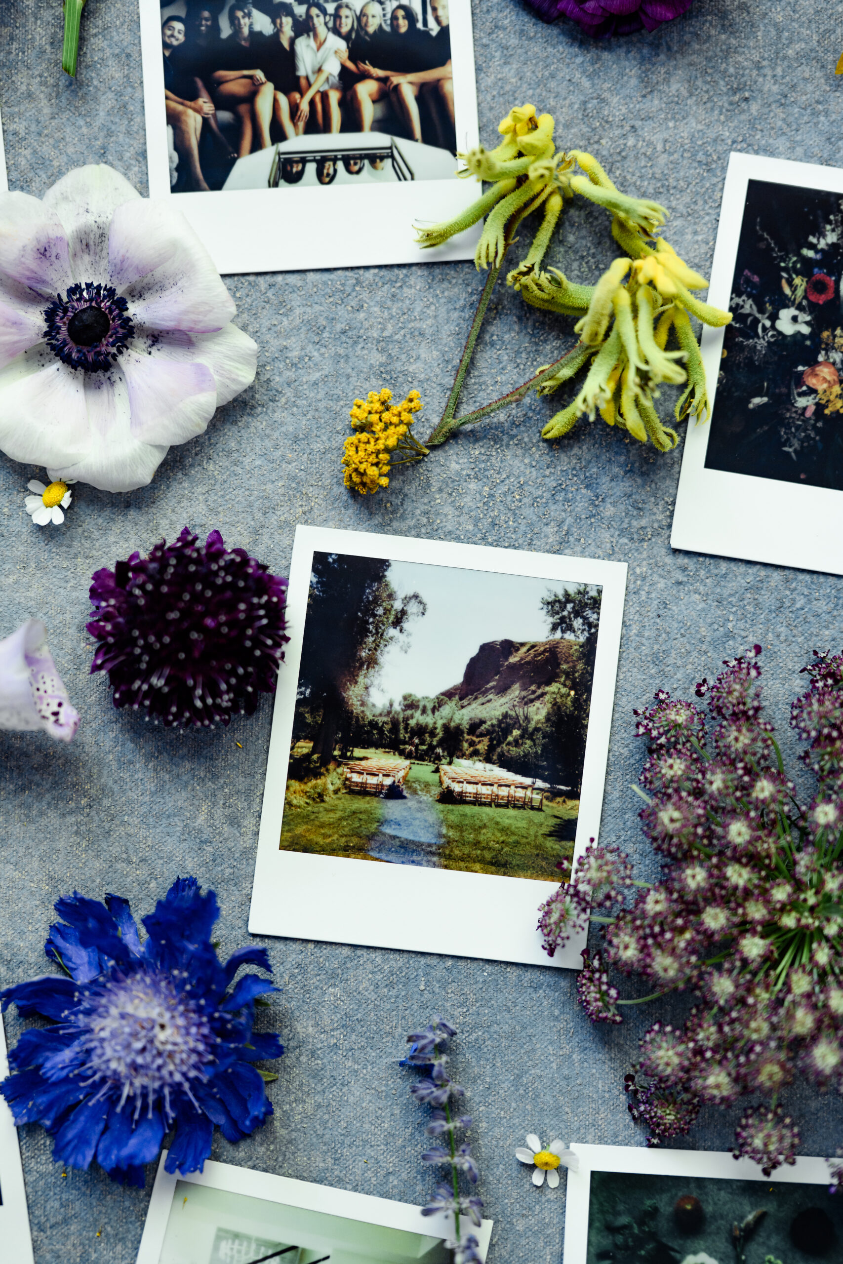 A wedding scene captured in a Polaroid photo.