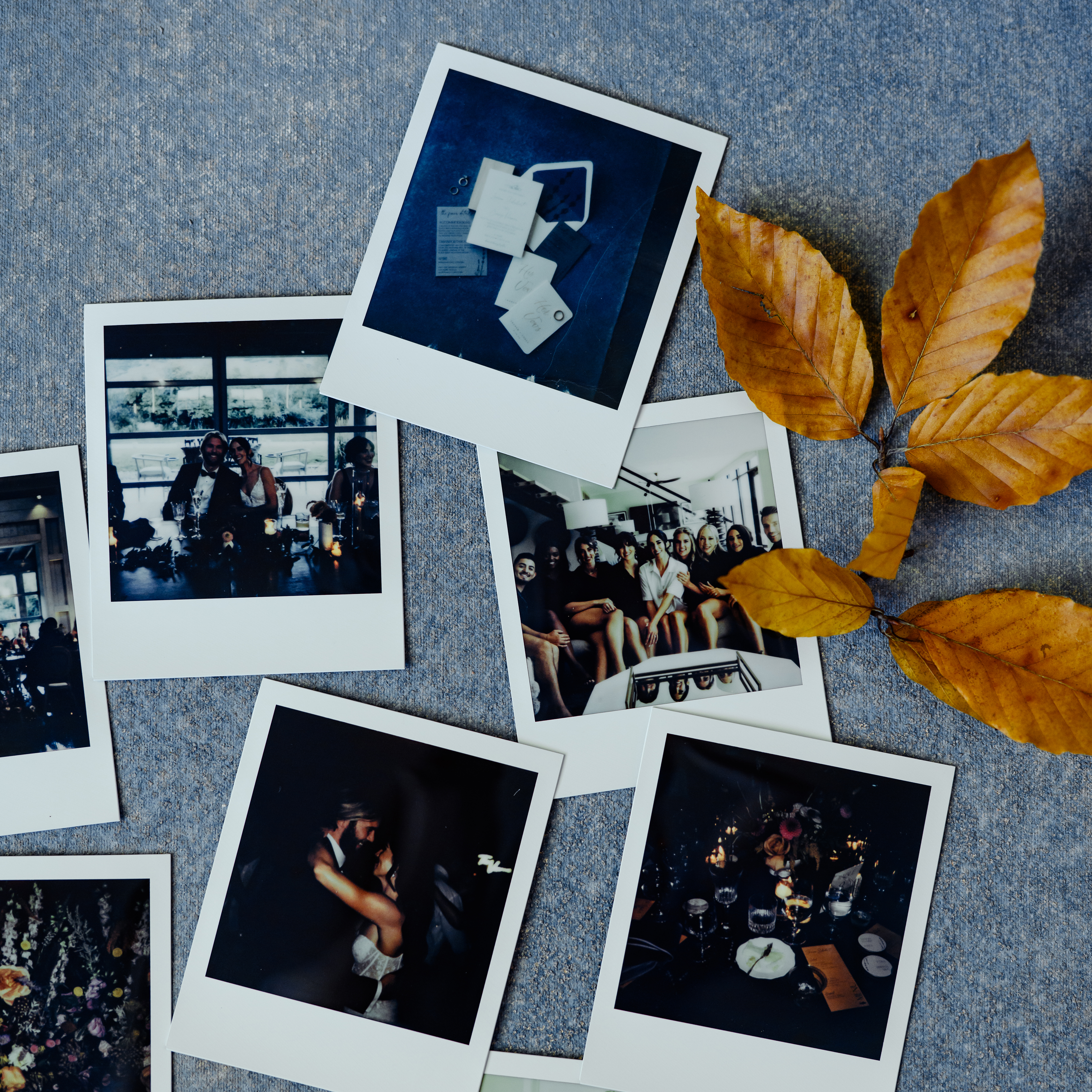 Five and a half Polaroids with Autumn leaves laying over the right side.